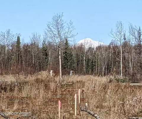 47345 S Hawk Ave, Willow, AK 99688