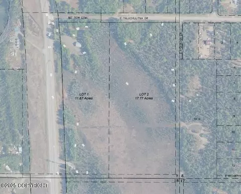 L2 E Talachulitna Drive, Willow, AK 99688 photo 9