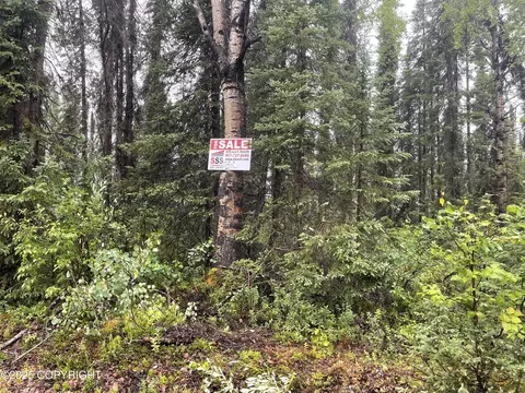 L2 E Talachulitna Drive, Willow, AK 99688 photo 5