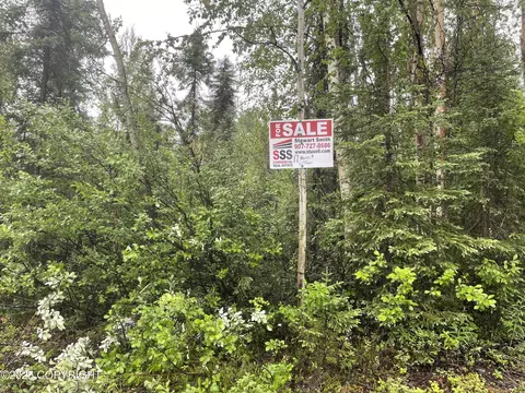 L2 E Talachulitna Drive, Willow, AK 99688 photo 6