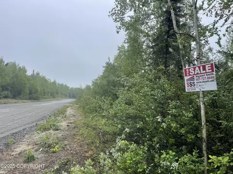 L2 E Talachulitna Drive, Willow, AK 99688 photo 14
