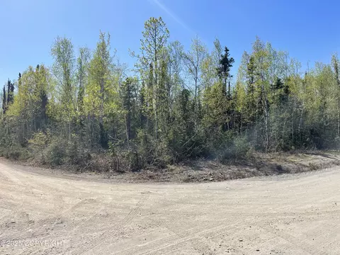 L2 E Talachulitna Drive, Willow, AK 99688 photo 8