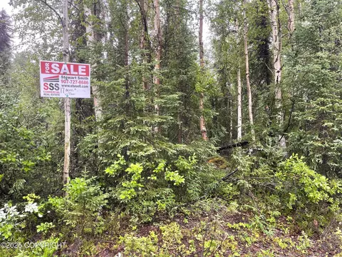 L2 E Talachulitna Drive, Willow, AK 99688 photo 12
