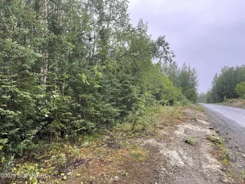 L2 E Talachulitna Drive, Willow, AK 99688 photo 13