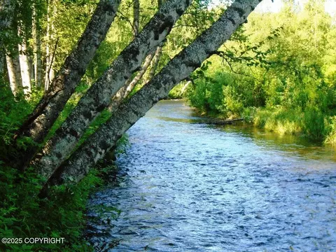 93 Parks Highway, Talkeetna, AK 99676