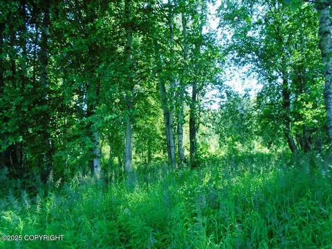 93 Parks Highway, Talkeetna, AK 99676