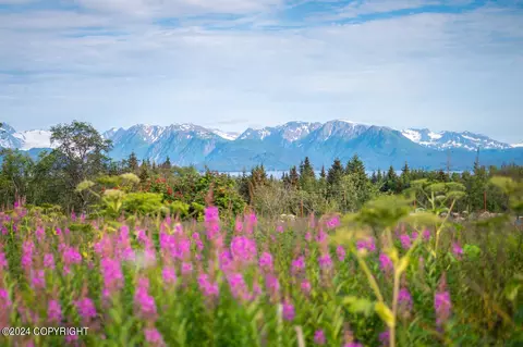 L8 B3 Glenn Road, Homer, AK 99603