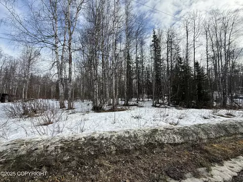 12913 N Pettis Dr, Willow, AK 99688
