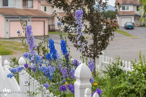 Exterior - 9110 Ticia Cir, Anchorage, AK 99502 photo 9 of 13