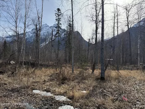 9085 S River Dr, Palmer, AK 99645