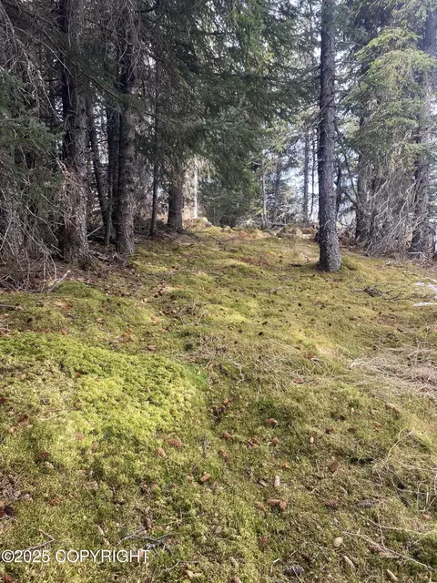 65655 Ring Of Fire Ave, Anchor Point, AK 99556