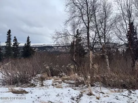 000 Susan Cir, Anchorage, AK 99516