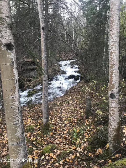 Other - 31805 Eagle River Rd, Eagle River, AK 99577 photo 4 of 51
