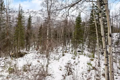 Other - 31805 Eagle River Rd, Eagle River, AK 99577 photo 42 of 51