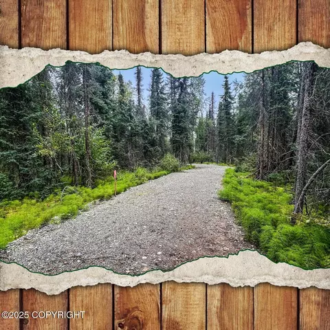 39795 W Parks Hwy, Willow, AK 99688