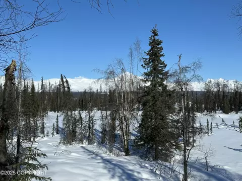 Nhn Safari Lk Asls 80-188 B11 L3-1, Trapper Creek, AK 99683
