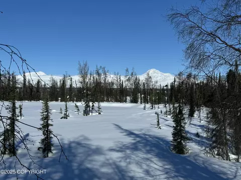 Nhn Safari Lk Asls 80-188 B11 L5-1, Trapper Creek, AK 99683
