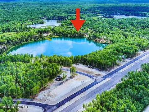 19553 E Good Land Dr, Willow, AK 99688
