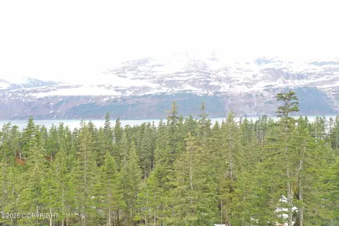L8 B14 Shotgun Cove Road, Whittier, AK 99693