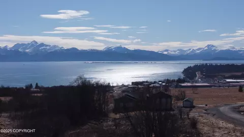 41110 Wandering St, Homer, AK 99603