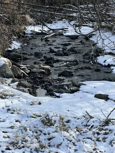 Other - 18028 Teklanika Dr, Eagle River, AK 99577 photo 5 of 5