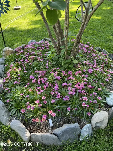 Other - 7770 Lotus Dr, Anchorage, AK 99502 photo 2 of 11