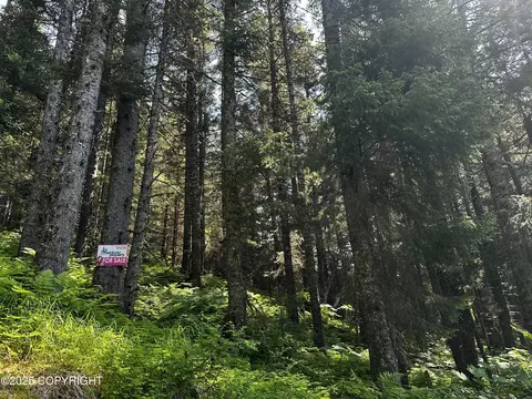 L15 B11 Malcolm Street, Seldovia, AK 99663