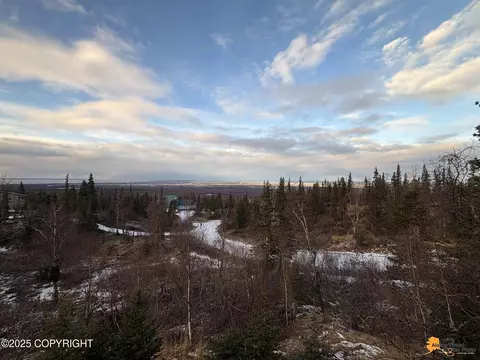 View/Area - 9915 Middlerock Rd, Anchorage, AK 99507 photo 5 of 5