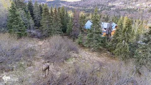 View/Area - 22253 Elkhorn Cir, Eagle River, AK 99577 photo 9 of 9