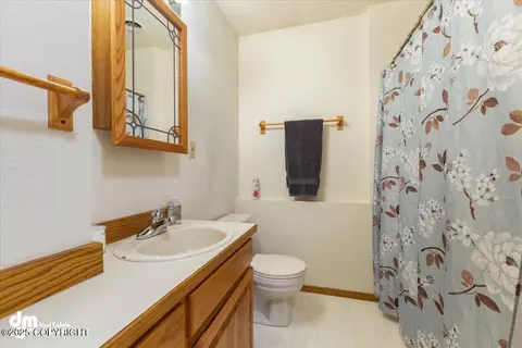 Bath - 9660 E Ortner Loop, Palmer, AK 99645 photo 7 of 8