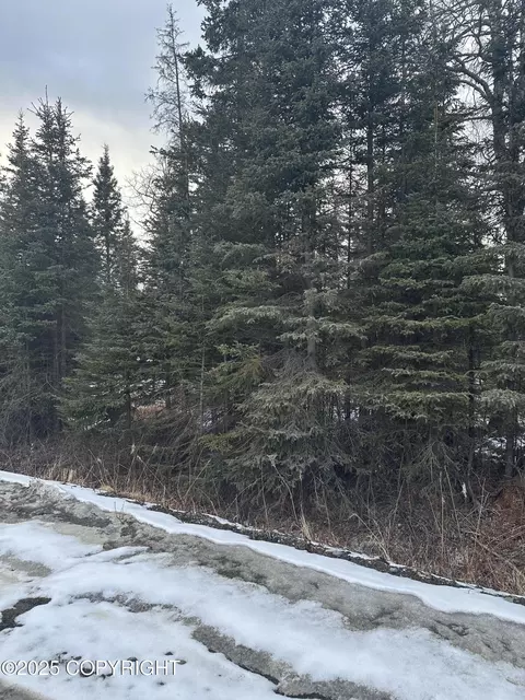 53770 Izigan Ave, Nikiskinorth Kenai, AK 99611