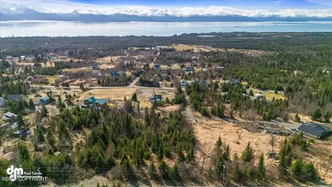 38410 Woody Cir, Homer, AK 99603
