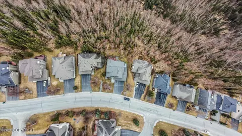 View/Area - 17353 Yellowstone Dr, Eagle River, AK 99577 photo 2 of 4