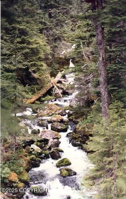 90-111 Tr A No Rd Whidbey Bay, Seward, AK 99000