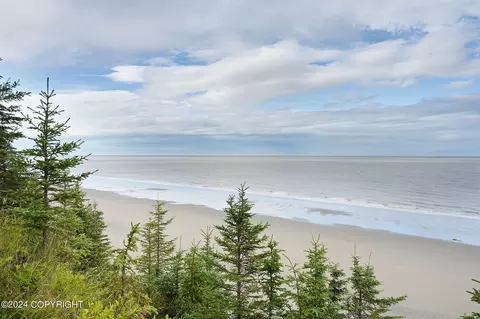 26445 Cohoe Loop Rd, Kasilof, AK 99610