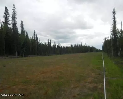 lot12 Timber Trl, North Pole, AK 99705