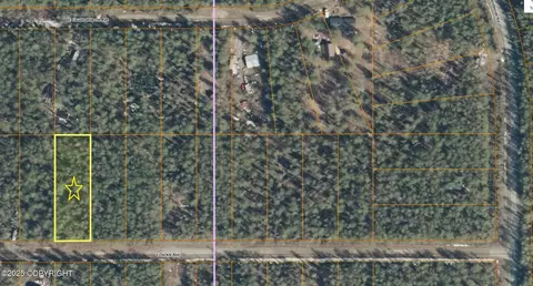 20007 E Tackle Ave, Willow, AK 99688