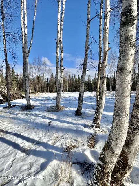 23188 Willow Fishhook Rd, Willow, AK 99688
