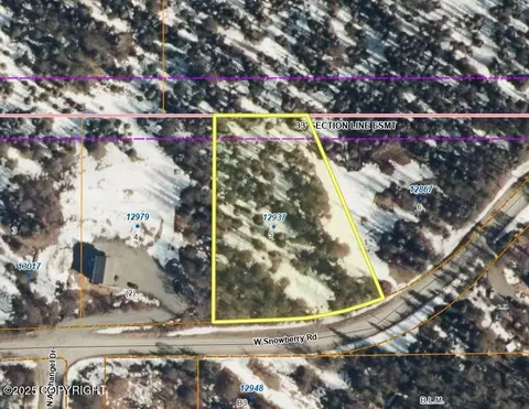 12937 W Snowberry Rd, Willow, AK 99688