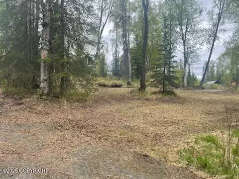 39545 Eldon Cir, Sterling, AK 99672 photo 14