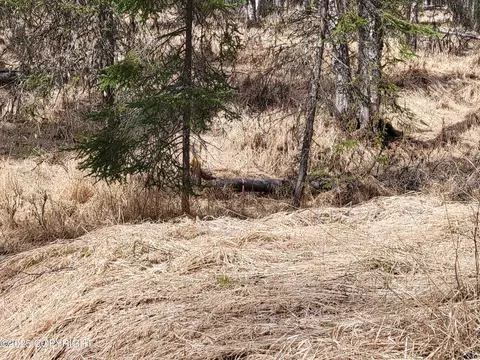 39545 Eldon Cir, Sterling, AK 99672 photo 24