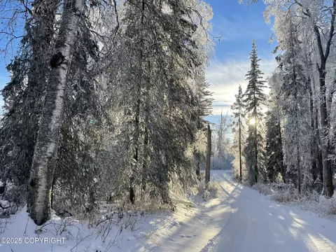 39545 Eldon Cir, Sterling, AK 99672 photo 5