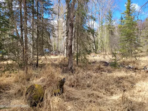 39545 Eldon Cir, Sterling, AK 99672 photo 22