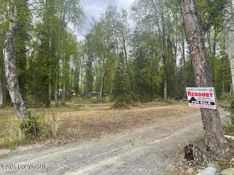 39545 Eldon Cir, Sterling, AK 99672 photo 16