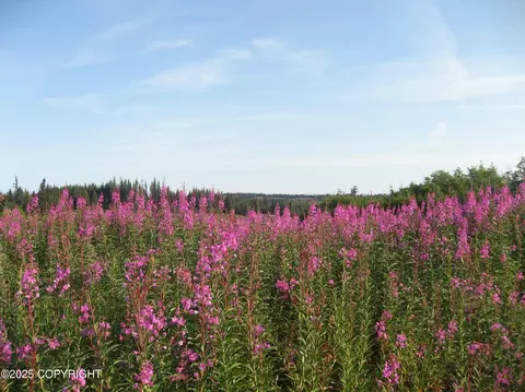 488 Cozy Cove Dr, Homer, AK 99603