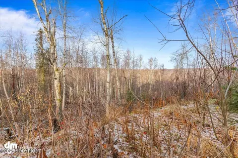Other - 17709 Willow Fishhook Rd, Willow, AK 99688 photo 20 of 36