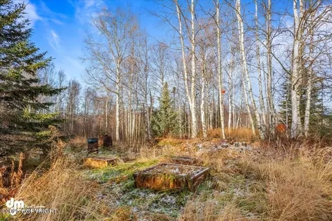 Exterior - 17709 Willow Fishhook Rd, Willow, AK 99688 photo 4 of 12