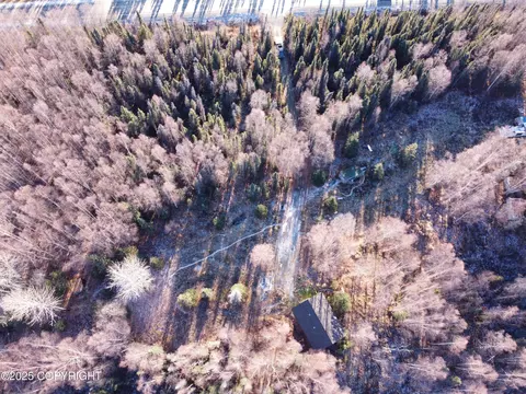 Other - 17709 Willow Fishhook Rd, Willow, AK 99688 photo 36 of 36