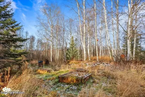 Exterior - 17709 Willow Fishhook Rd, Willow, AK 99688 photo 12 of 12