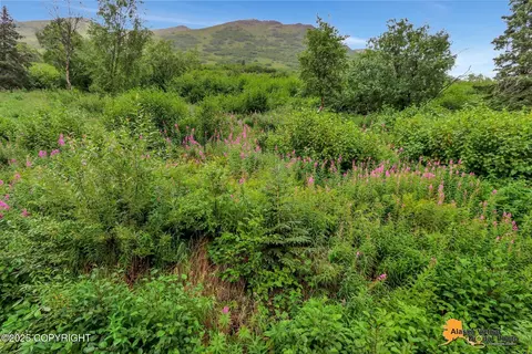 4151 Cotton Grass Dr, Eagle River, AK 99577 photo 37
